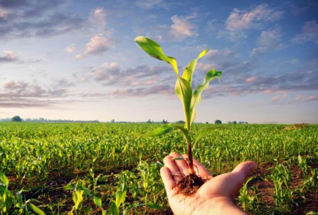 Lombardia Economy-agricoltura e giovani imprenditori